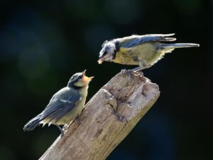 二次会はやるべきか、成功させるポイントは？