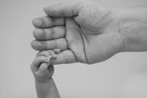 家族婚の準備に必要な手順は何ですか？