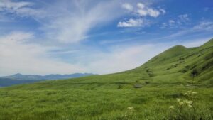 福岡の結婚式場でコロナ後のキャンセル規定はどうなっている？