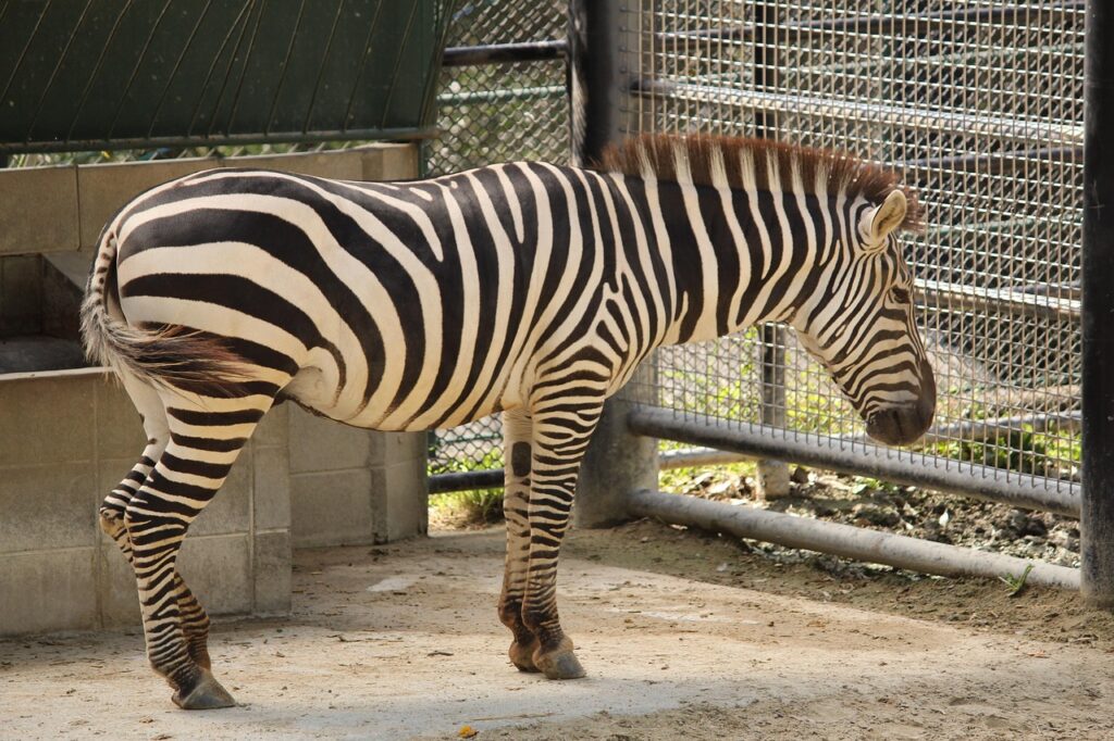 福岡の結婚式場下見に必要な持ち物リストは？