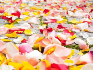 結婚式場の割引キャンペーンを利用して予約する方法は？